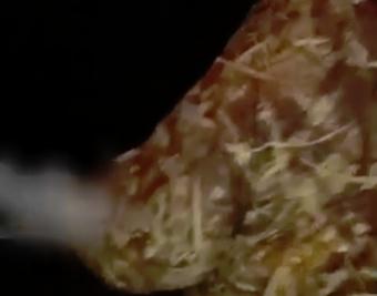 «Парковочный рэкетир» орудует в Ростове-на-Дону: видео